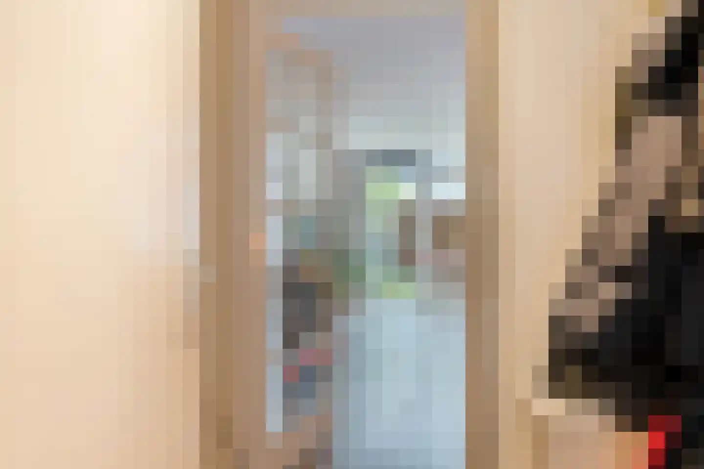 Tinnegieter 4 Leiderdorp thumbnail 5