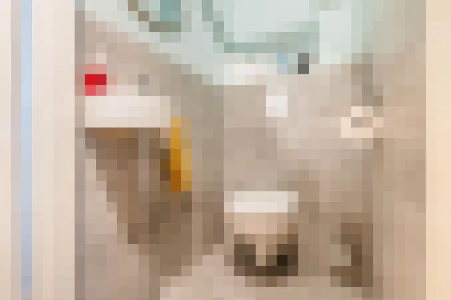 Tinnegieter 4 Leiderdorp thumbnail 7