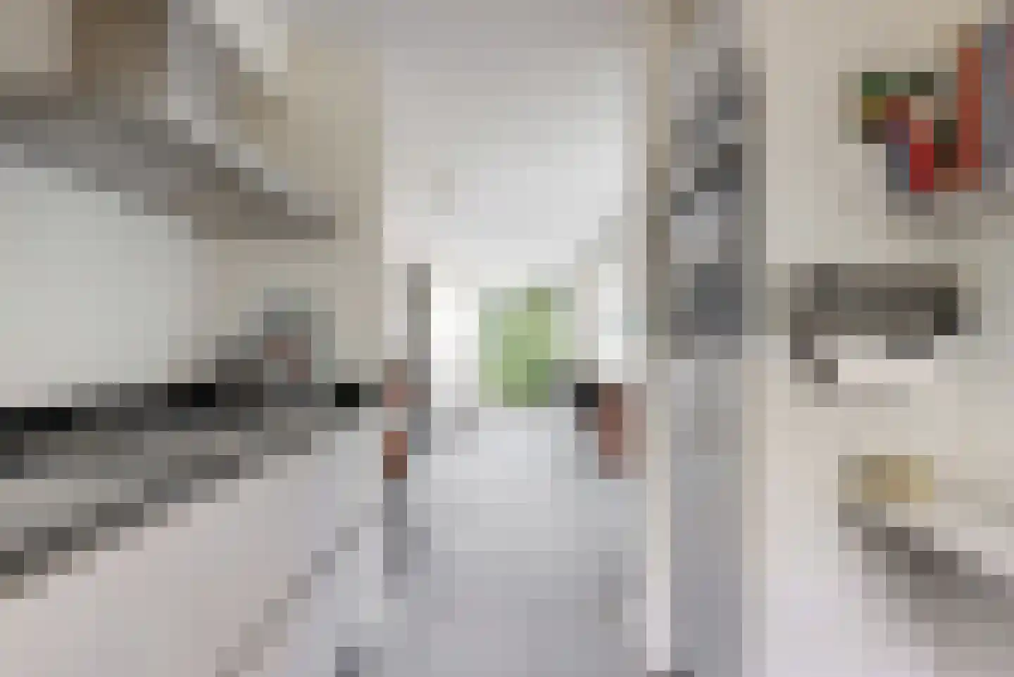 Tinnegieter 56 Hoorn thumbnail 20