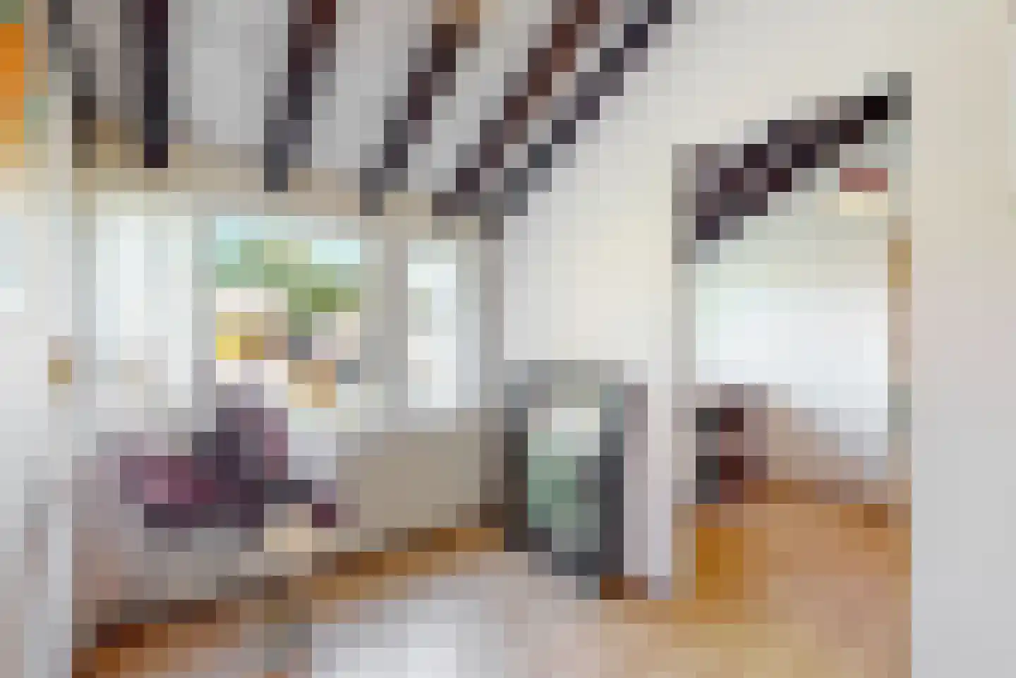 Tinnegieter 56 Hoorn thumbnail 31