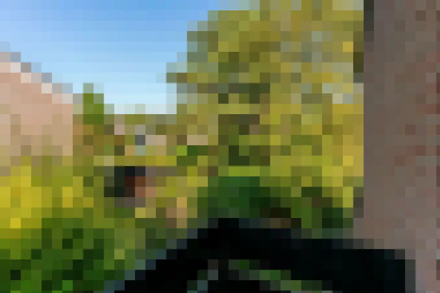 Tinnegieter 56 Hoorn thumbnail 38