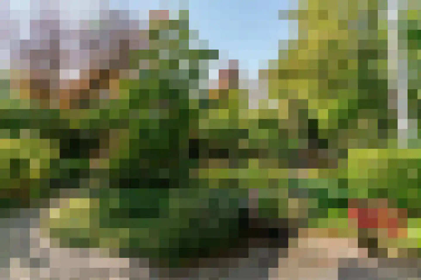 Tinnegieter 56 Hoorn thumbnail 40
