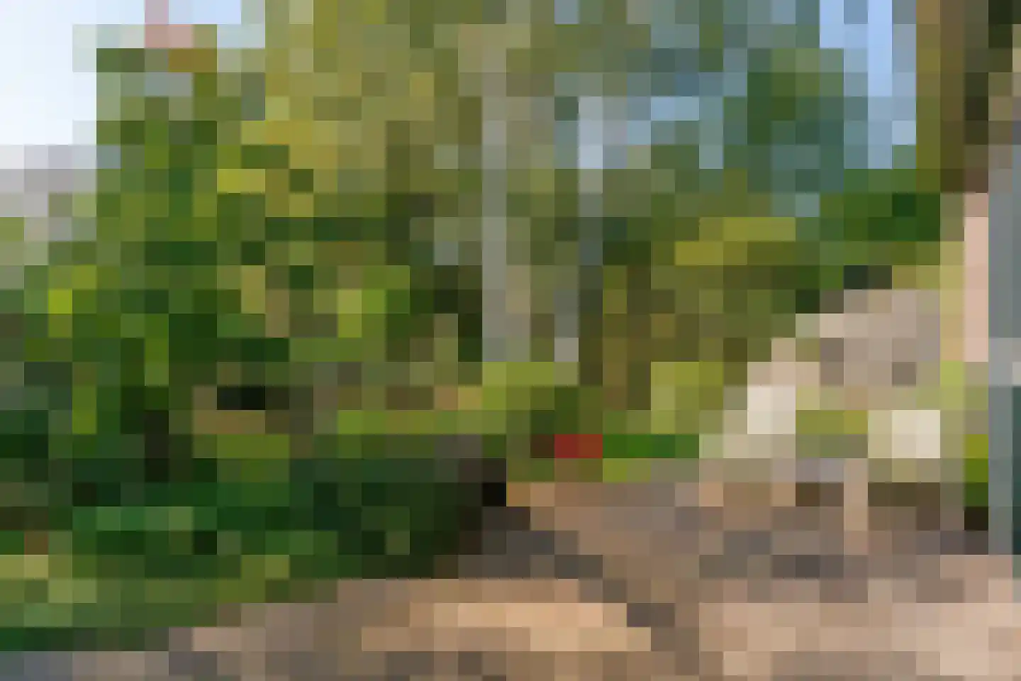 Tinnegieter 56 Hoorn thumbnail 46