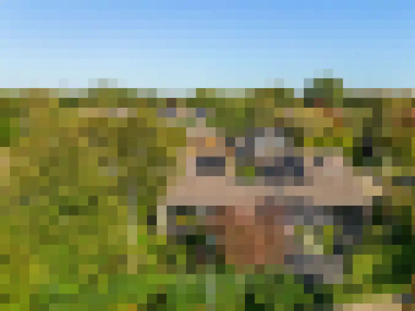 Tinnegieter 56 Hoorn thumbnail 47