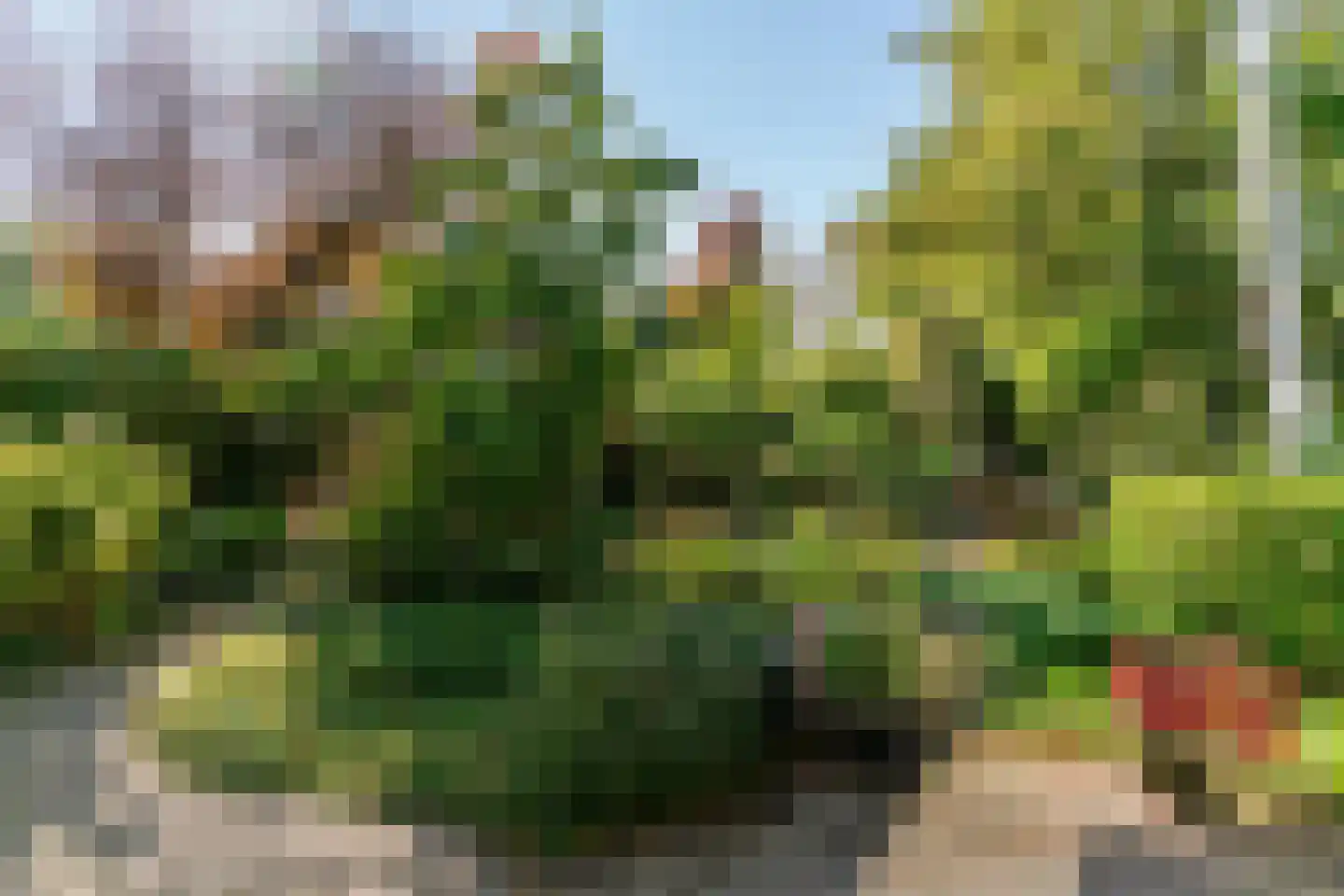 Tinnegieter 56 Hoorn thumbnail 5