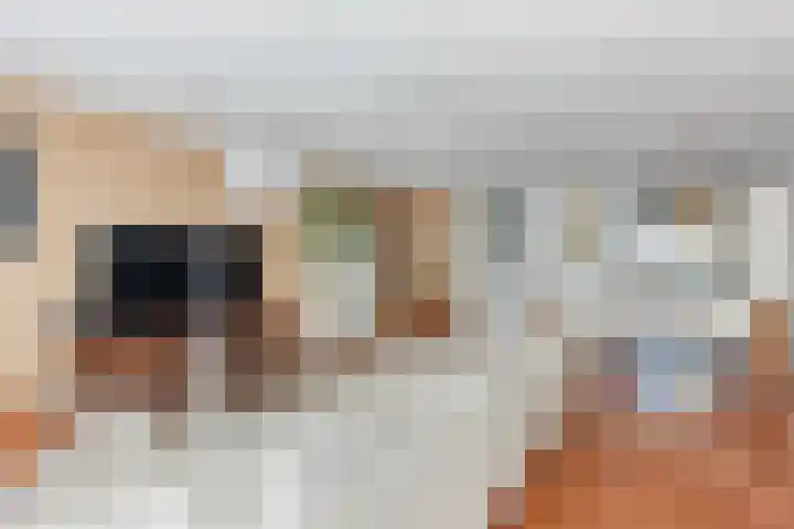 Tinnegieter 6 Leiderdorp thumbnail 10