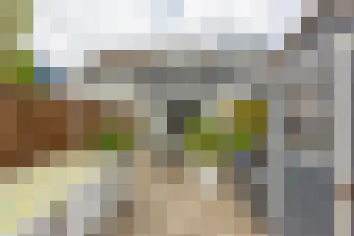 Tinnegieter 6 Leiderdorp thumbnail 17