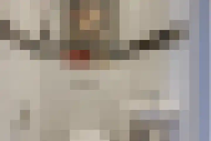 Tinnegieter 6 Leiderdorp thumbnail 18