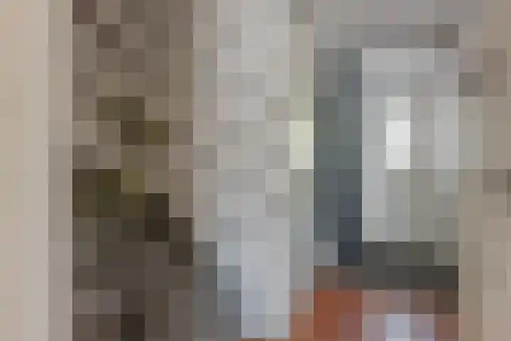 Tinnegieter 6 Leiderdorp thumbnail 19