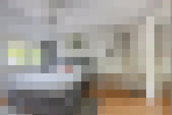 Tinnegieter 6 Leiderdorp thumbnail 21