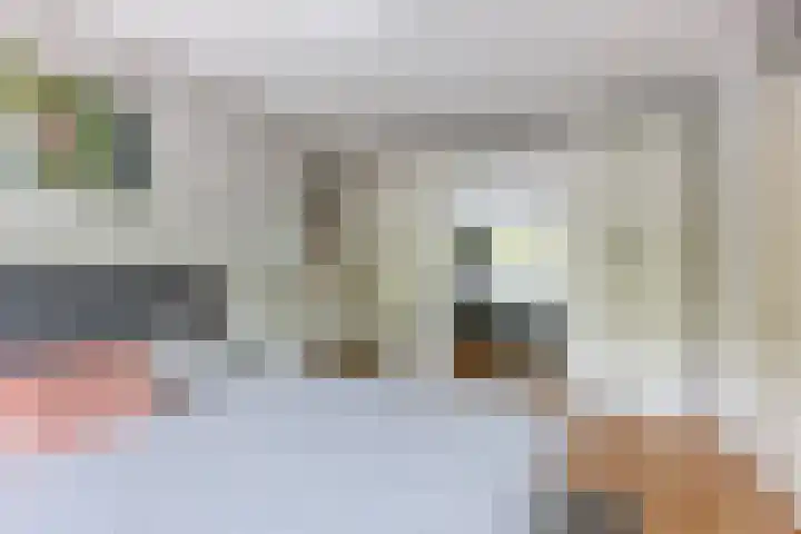 Tinnegieter 6 Leiderdorp thumbnail 23