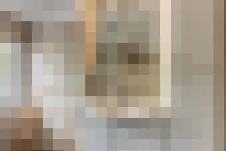 Tinnegieter 6 Leiderdorp thumbnail 24