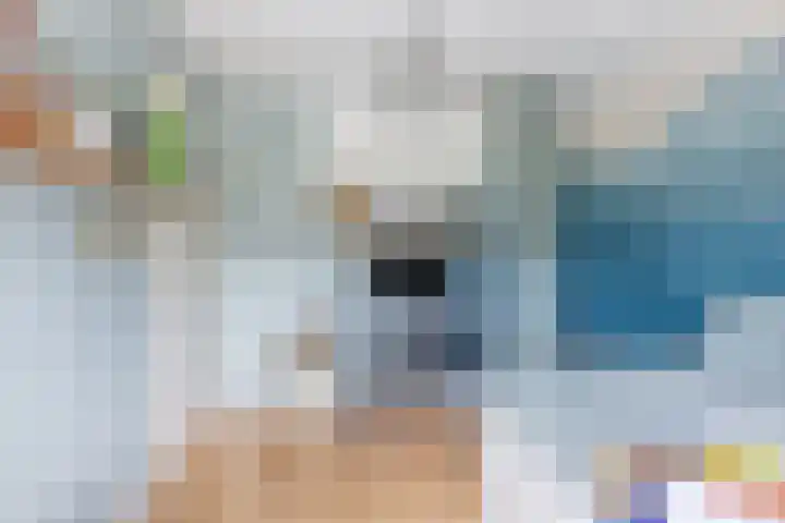 Tinnegieter 6 Leiderdorp thumbnail 26