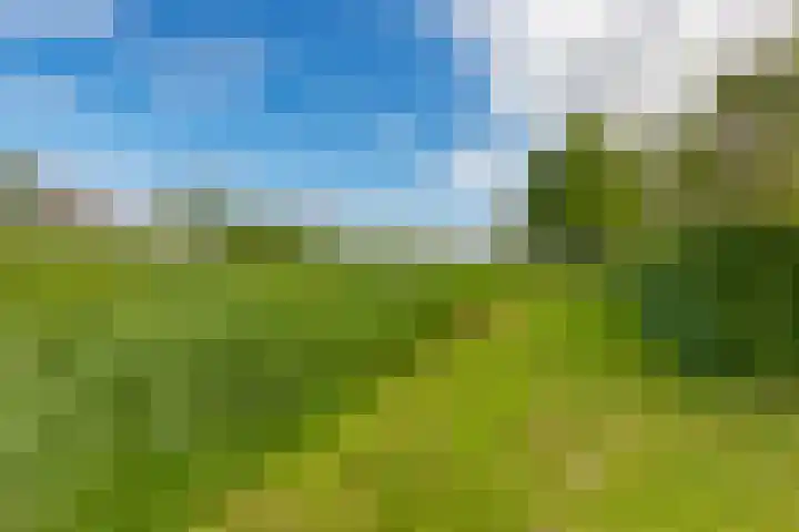Tinnegieter 6 Leiderdorp thumbnail 36