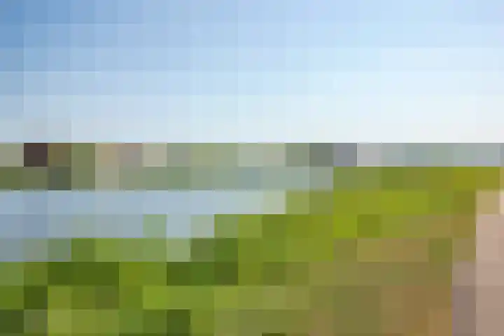 Tinnegieter 6 Leiderdorp thumbnail 38