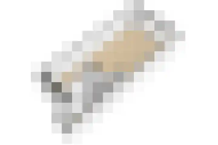 Tinnegieter 6 Leiderdorp thumbnail 42