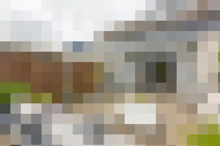 Tinnegieter 6 Leiderdorp thumbnail 5