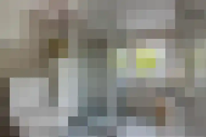 Tinnegieter 6 Leiderdorp thumbnail 6