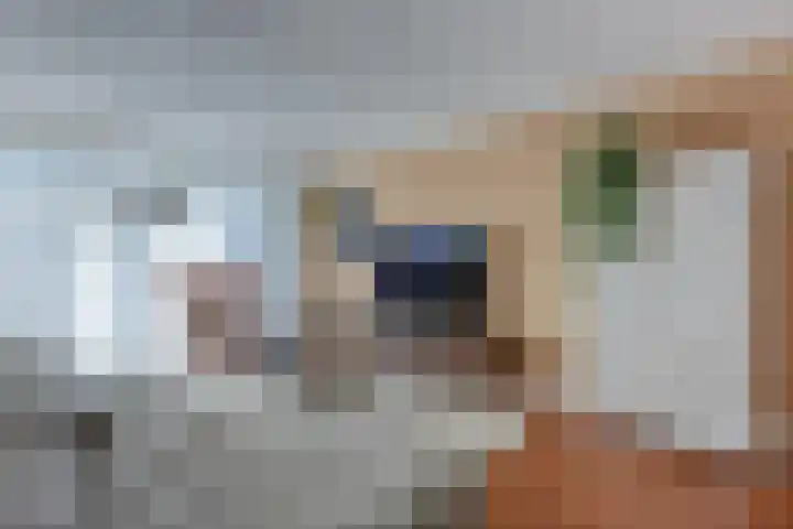 Tinnegieter 6 Leiderdorp thumbnail 8