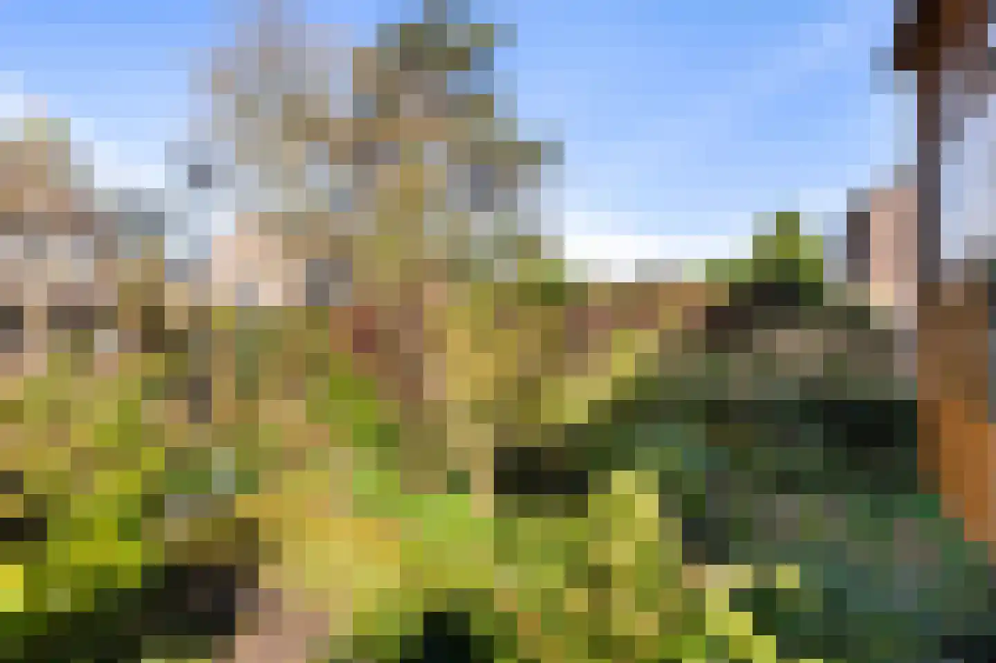 Tinnegieter 61 Hoorn thumbnail 27