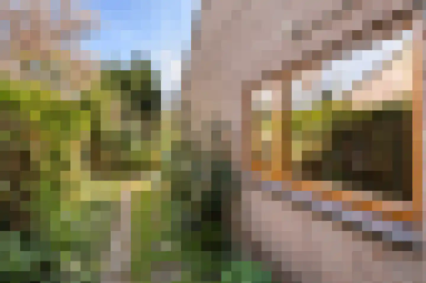 Tinnegieter 61 Hoorn thumbnail 28