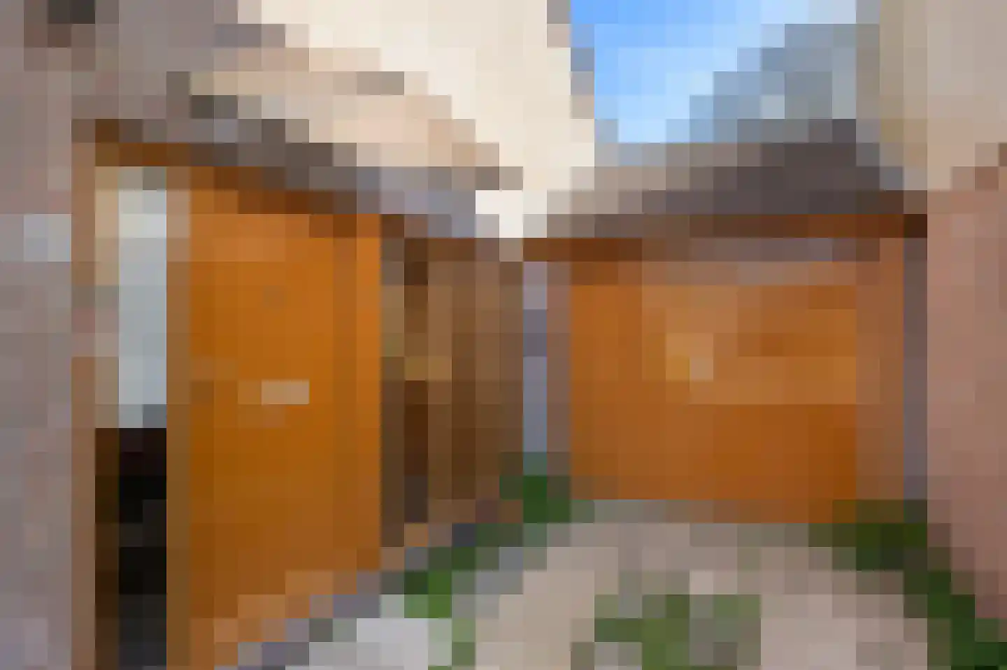 Tinnegieter 61 Hoorn thumbnail 30