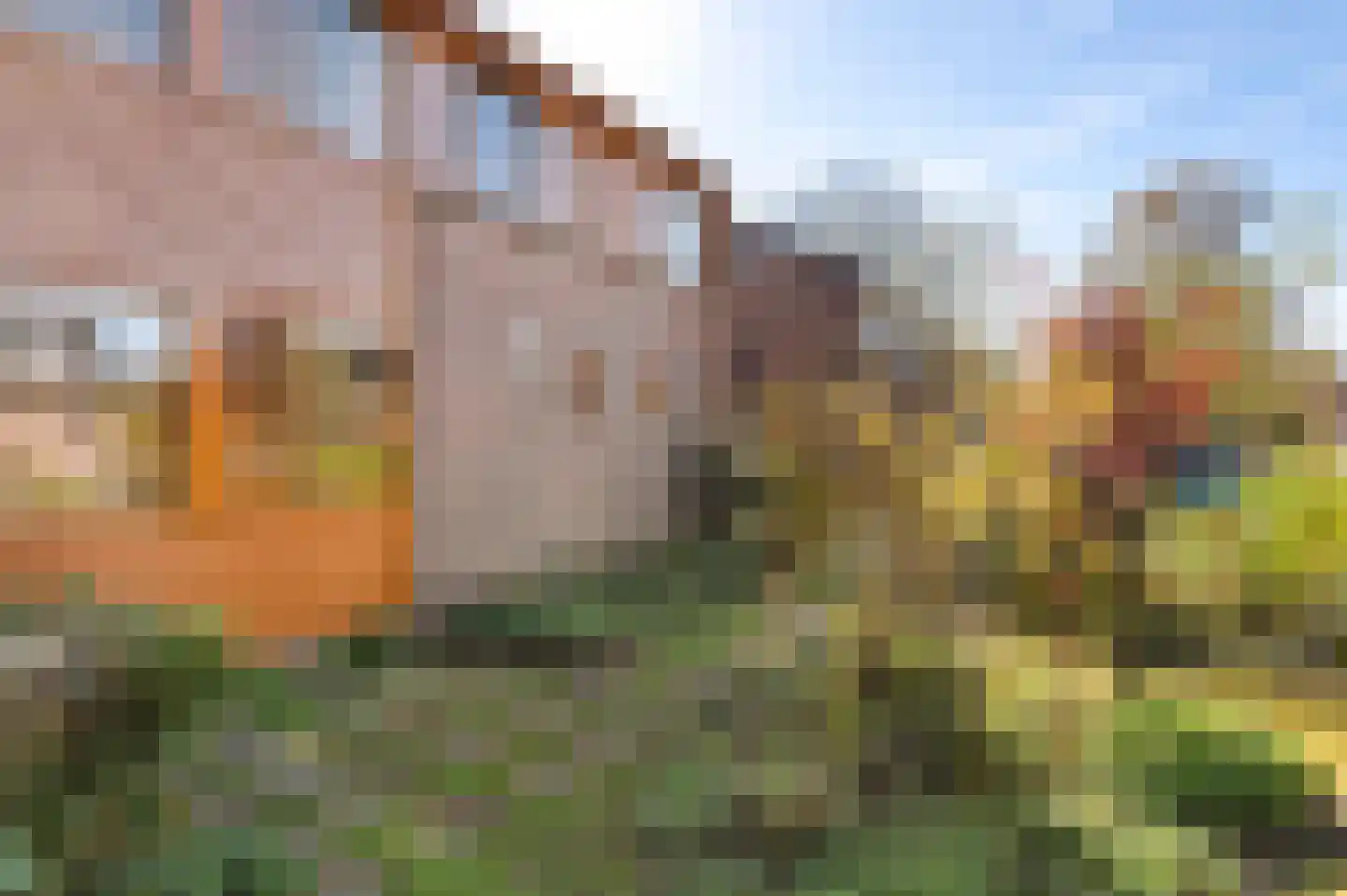 Tinnegieter 61 Hoorn thumbnail 31
