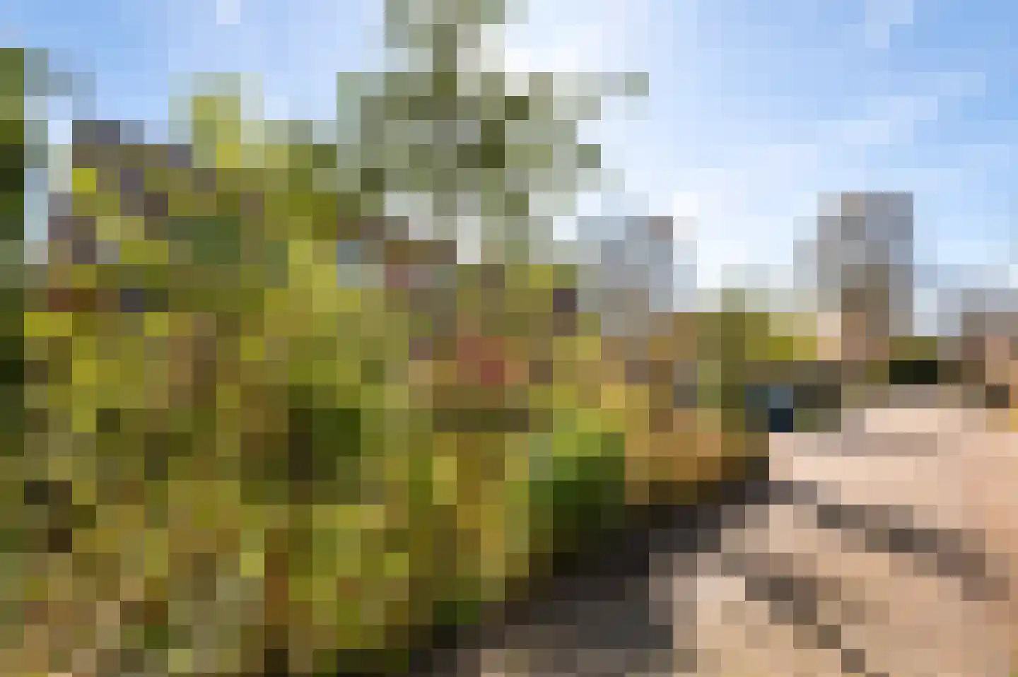Tinnegieter 61 Hoorn thumbnail 35