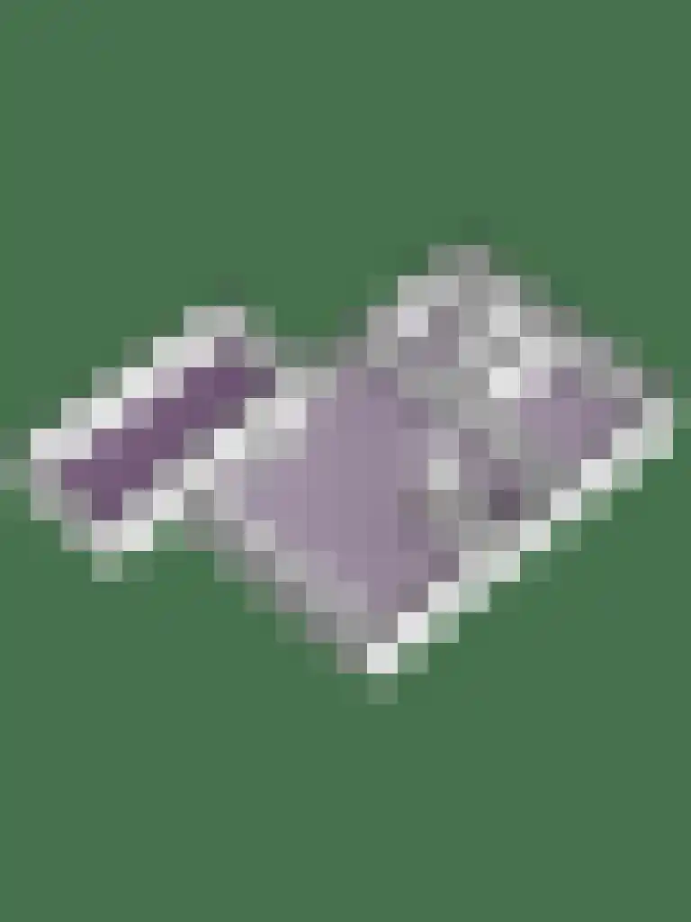 Tinnegieter 61 Hoorn thumbnail 37