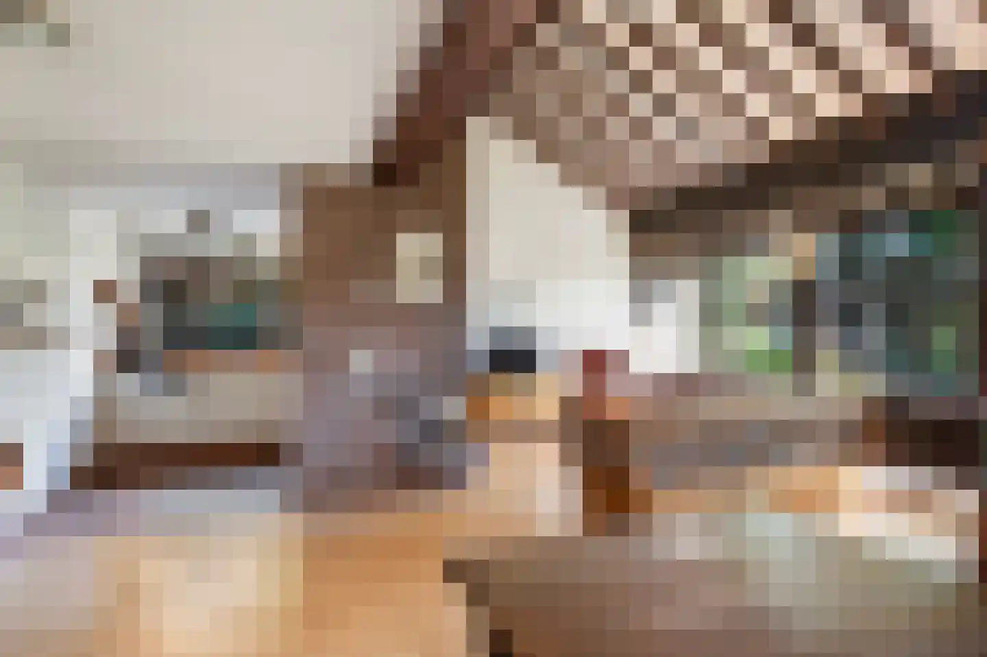Tinnegieter 61 Hoorn thumbnail 5
