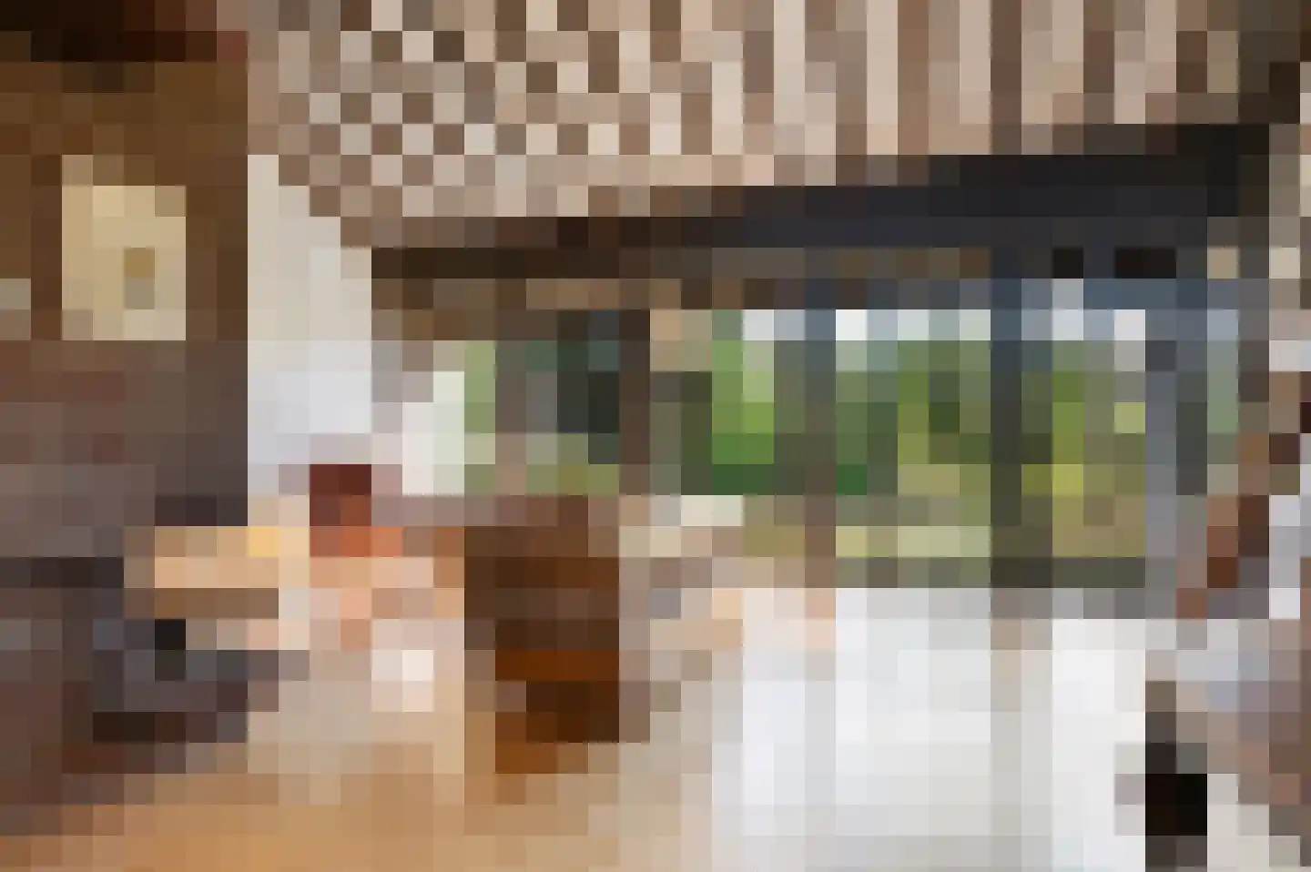 Tinnegieter 61 Hoorn thumbnail 7