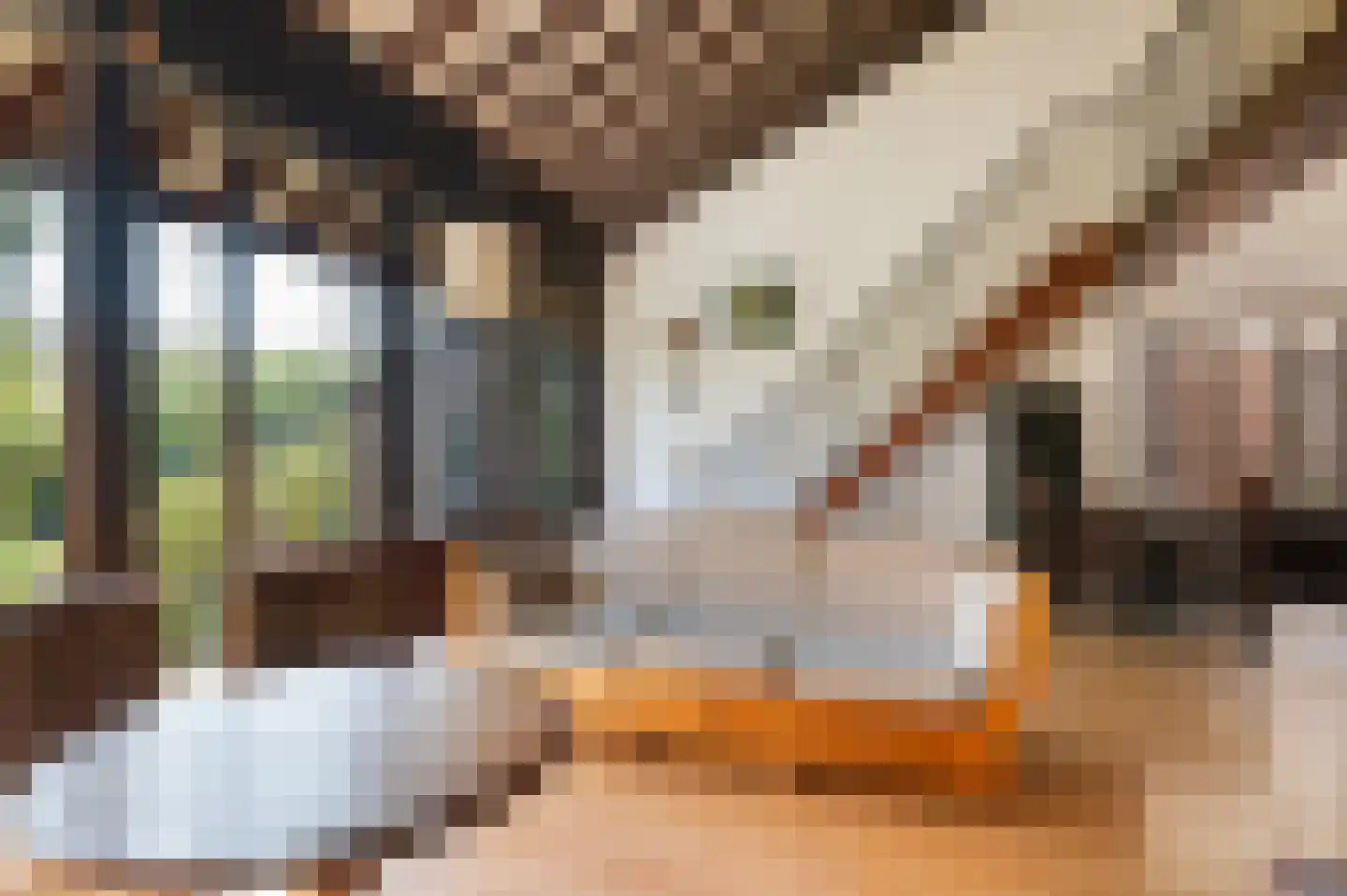 Tinnegieter 61 Hoorn thumbnail 8