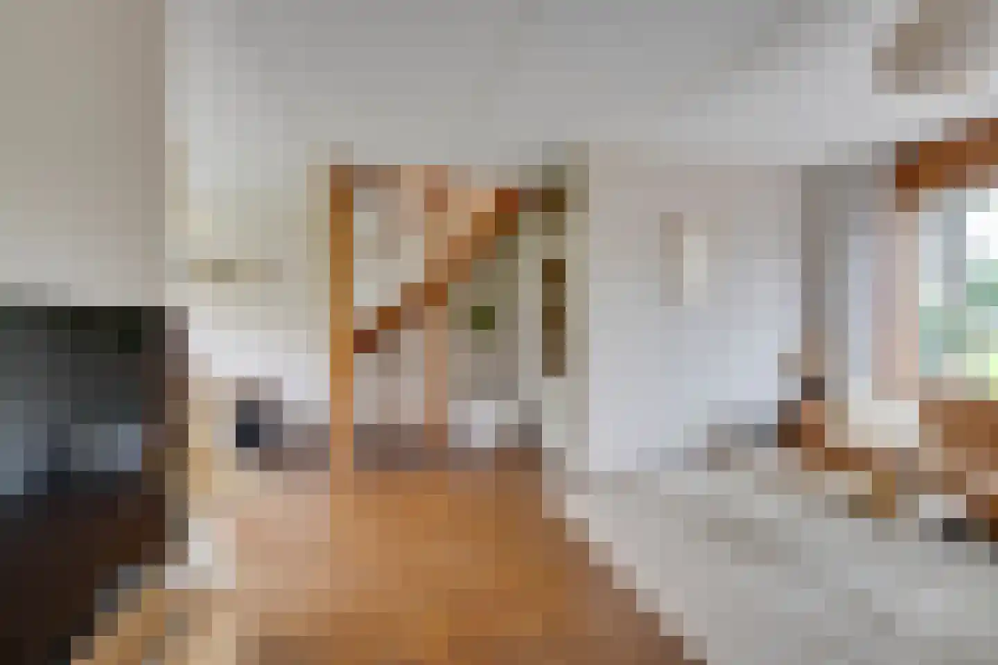 Tinnegieter 98 Hoorn thumbnail 12