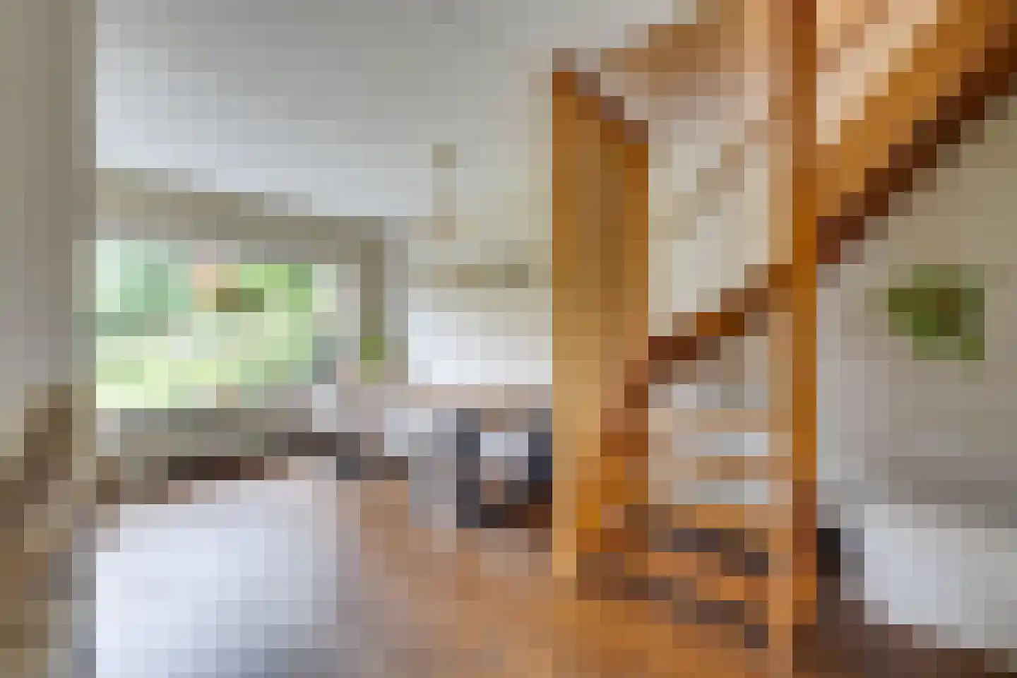 Tinnegieter 98 Hoorn thumbnail 17