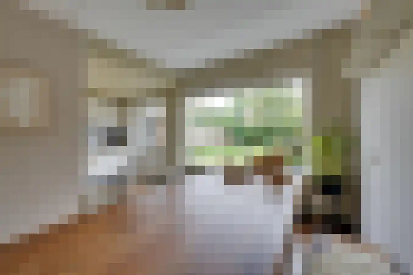 Tinnegieter 98 Hoorn thumbnail 19