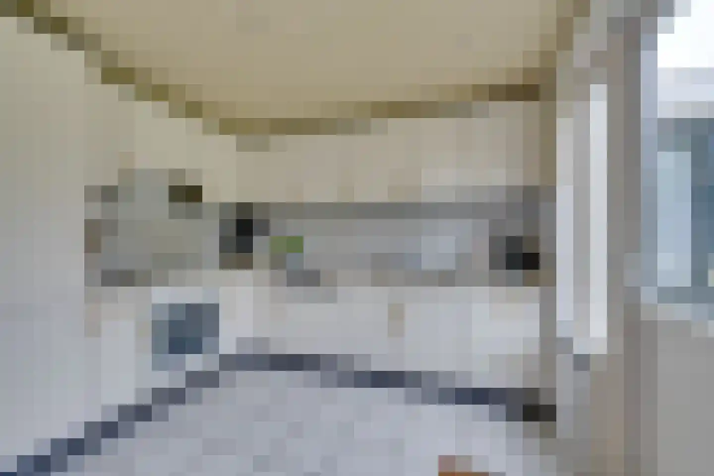 Tinnegieter 98 Hoorn thumbnail 23