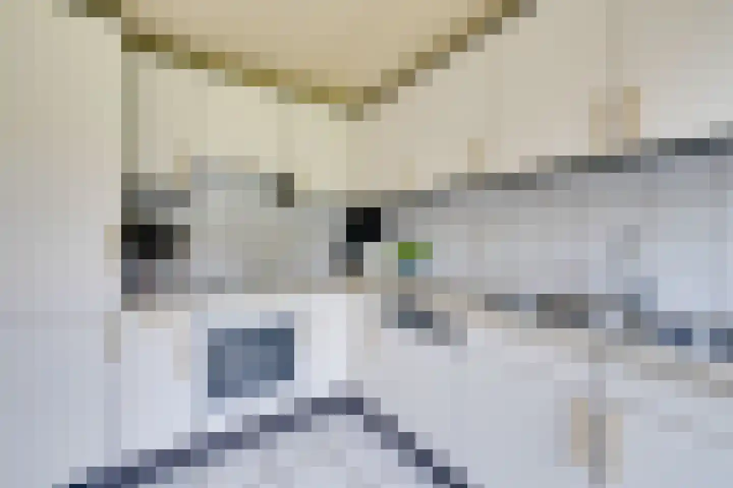 Tinnegieter 98 Hoorn thumbnail 24