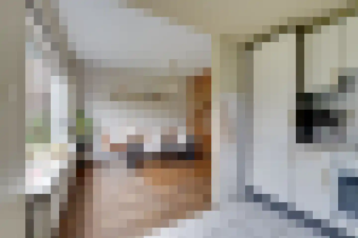 Tinnegieter 98 Hoorn thumbnail 26