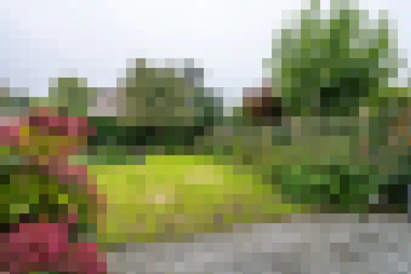 Tinnegieter 98 Hoorn thumbnail 28