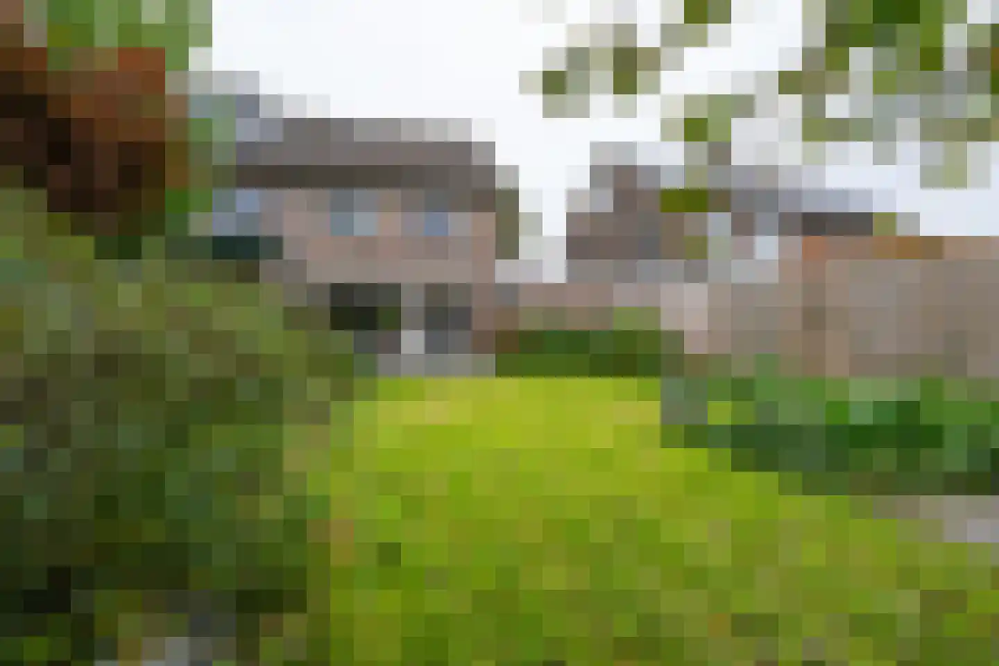 Tinnegieter 98 Hoorn thumbnail 30