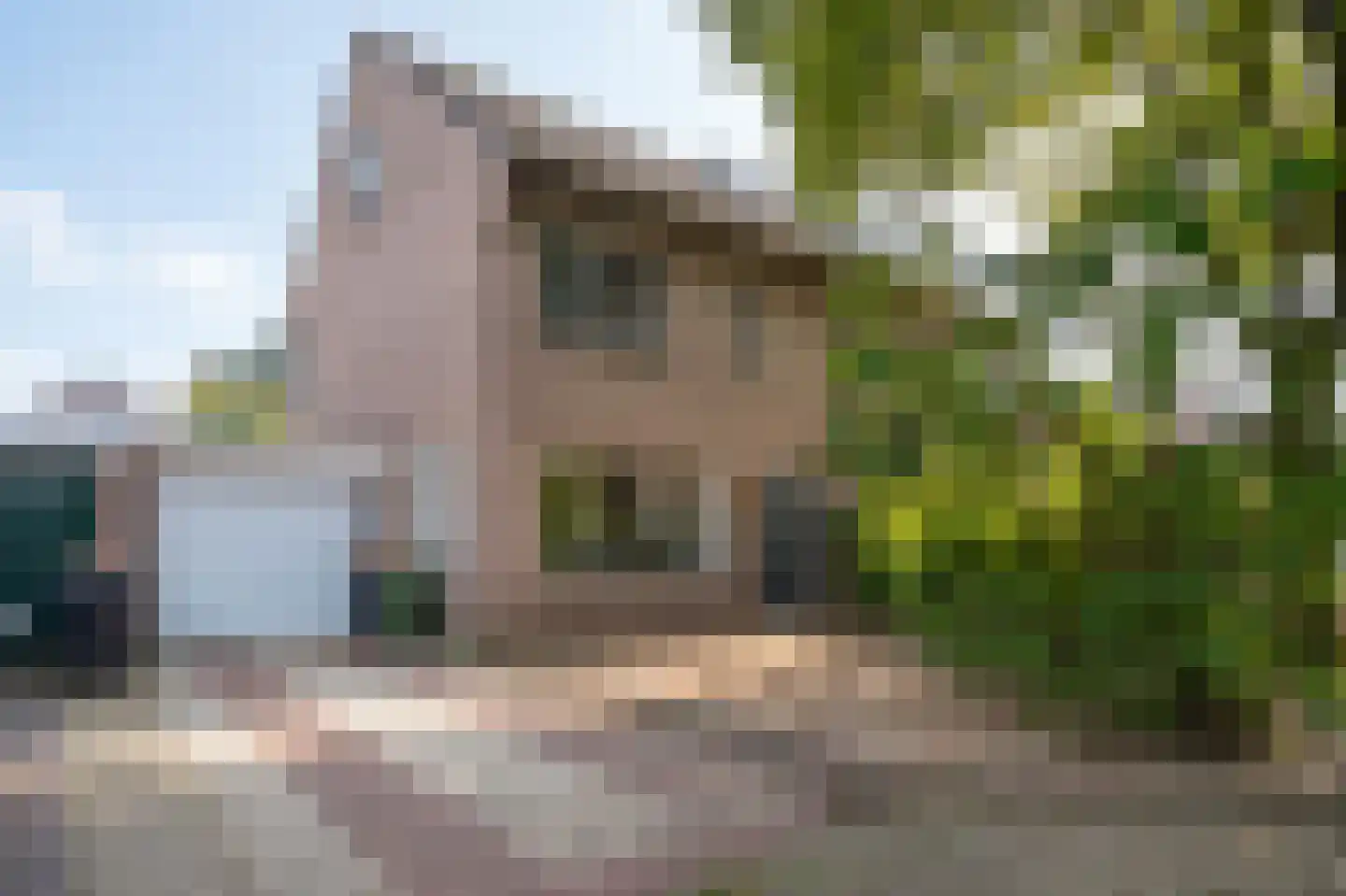 Tinnegieter 98 Hoorn thumbnail 6