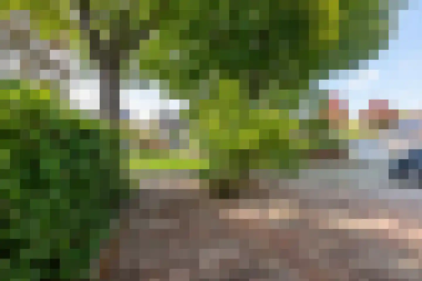 Tinnegieter 98 Hoorn thumbnail 9
