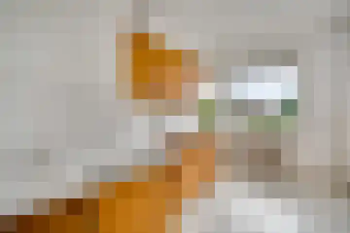 Tinnegietersdreef 30 B Maastricht thumbnail 11