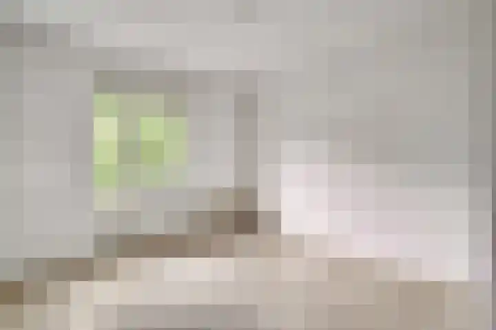 Tinnegietersdreef 30 B Maastricht thumbnail 16