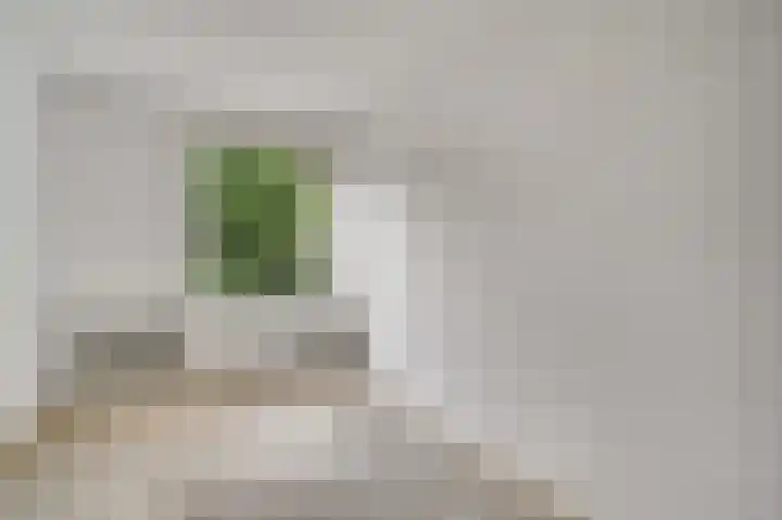 Tinnegietersdreef 30 B Maastricht thumbnail 19