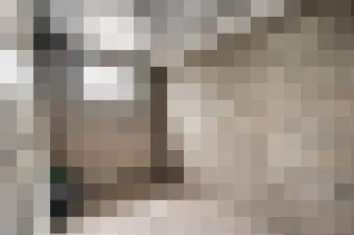 Tinnegietersdreef 30 B Maastricht thumbnail 21