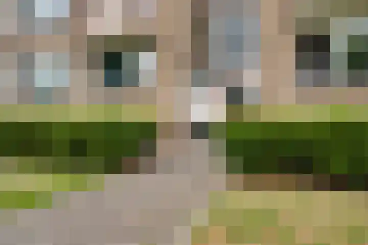 Tinnegietersdreef 30 B Maastricht thumbnail 4