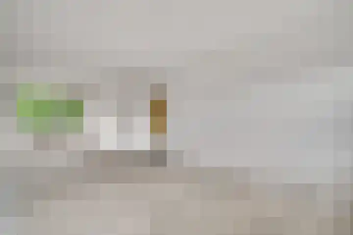 Tinnegietersdreef 30 B Maastricht thumbnail 9