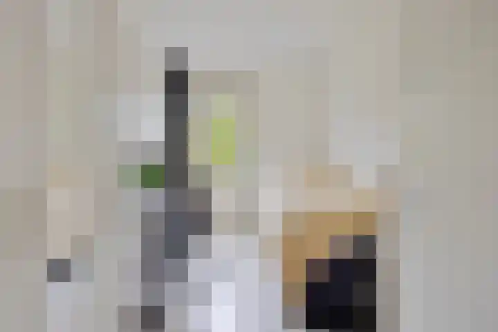 Tinnegietersdreef 32 D Maastricht thumbnail 16