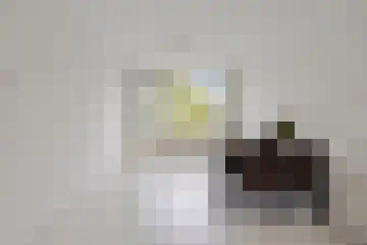 Tinnegietersdreef 32 D Maastricht thumbnail 8